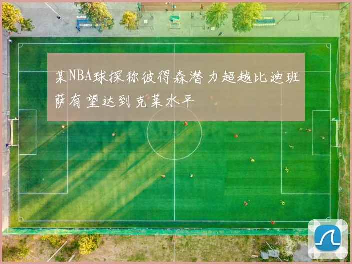 某NBA球探称彼得森潜力超越比迪班萨有望达到克莱水平