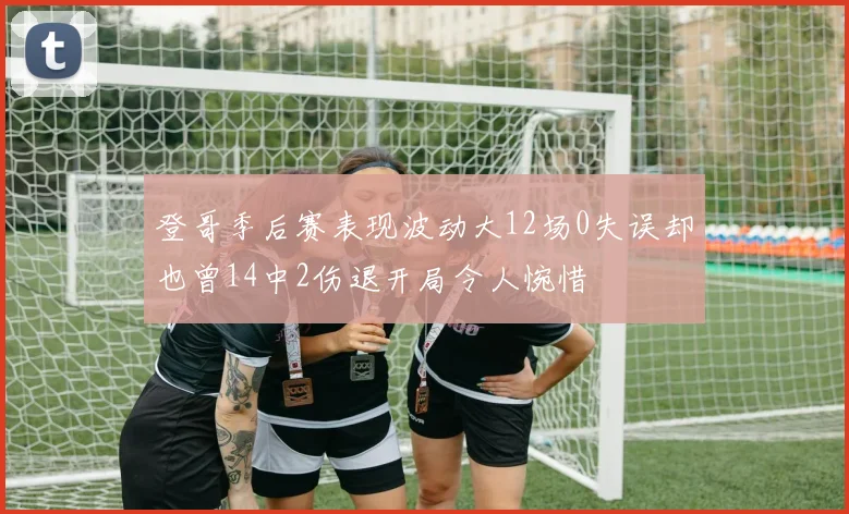 登哥季后赛表现波动大12场0失误却也曾14中2伤退开局令人惋惜