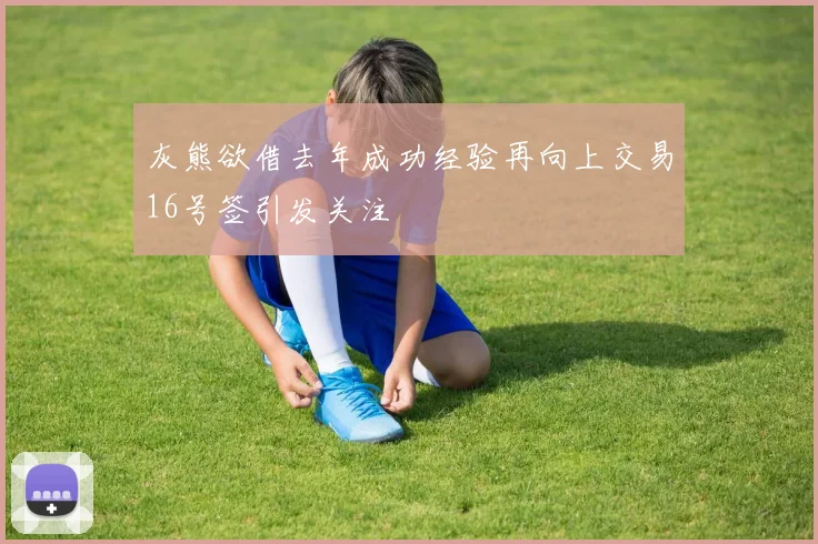 灰熊欲借去年成功经验再向上交易16号签引发关注